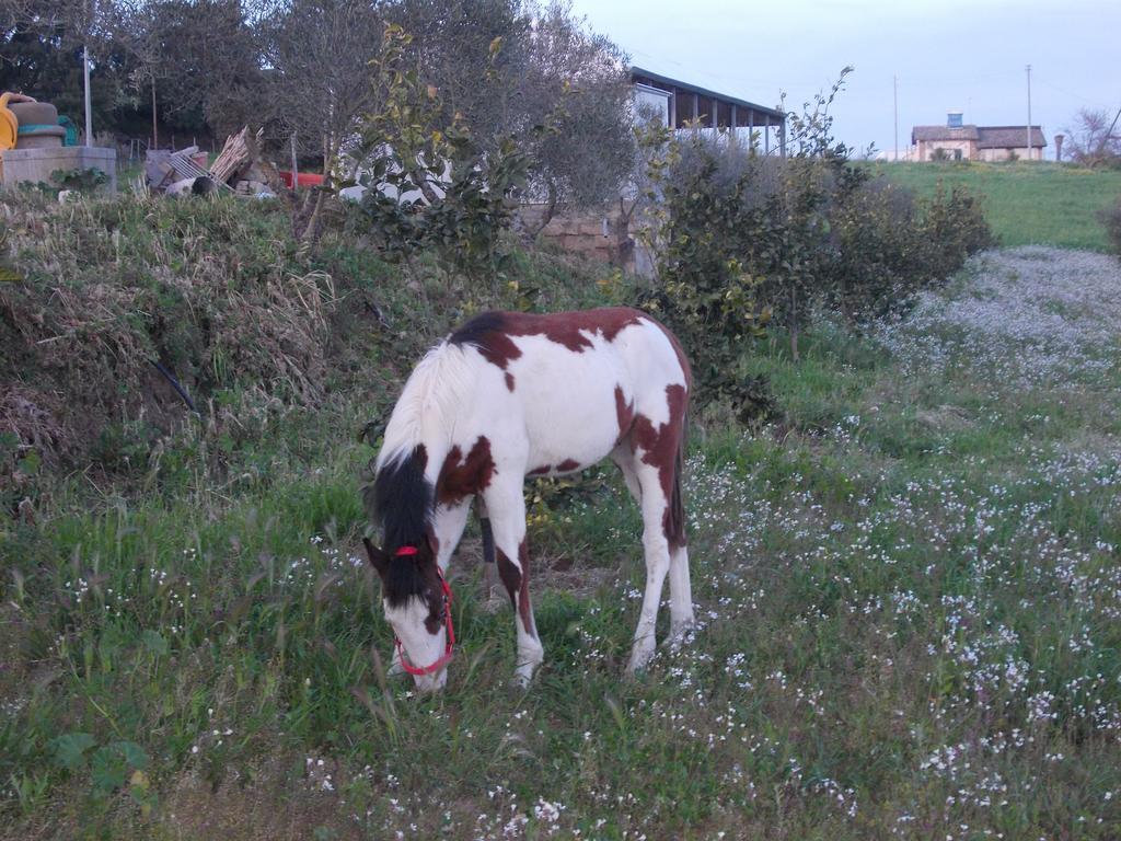 Agriturcostabaira Villa Caltagirone Buitenkant foto